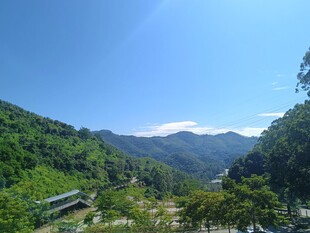 山间美景 绿意盎然的山谷