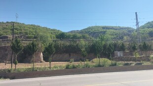 公路旁的青山绿树景观