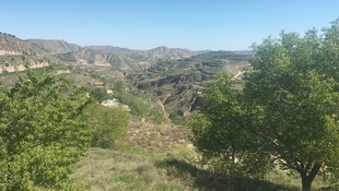 山间绿意盎然的自然景致
