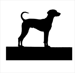 站立的猎犬剪影