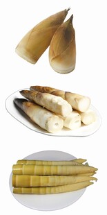 多样竹笋展示