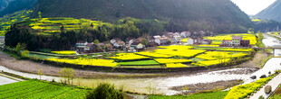 山间田园美景