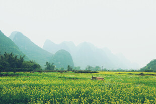 绿野山间景