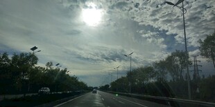 公路上的阳光与树木风景
