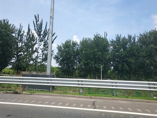 公路旁的护栏与绿树