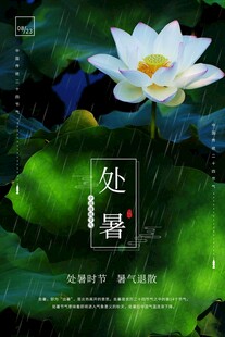 处暑海报