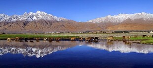 风景