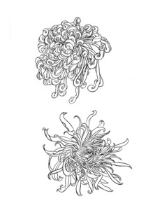 手绘花卉图案设计稿