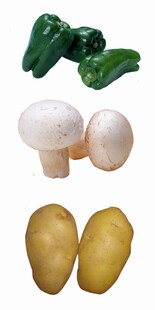 新鲜蔬菜组合