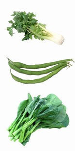 新鲜绿叶蔬菜组合