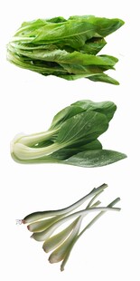 新鲜青菜与豆角蔬菜组合