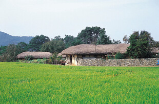 田园草屋绿意盎然的乡村景