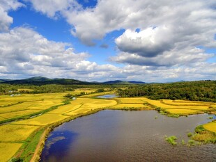 田园河畔风光美景