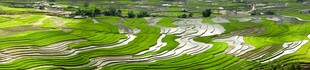 绿色田园风光美景