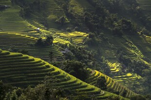 山间梯田美景