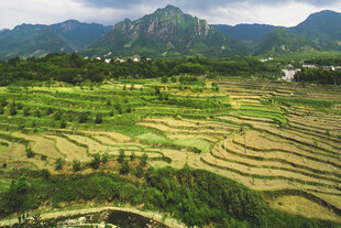山间梯田美景