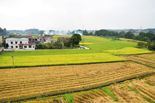 秋日乡村田野风光