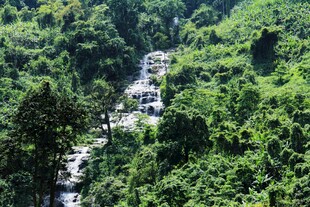 山间蜿蜒公路穿茂林