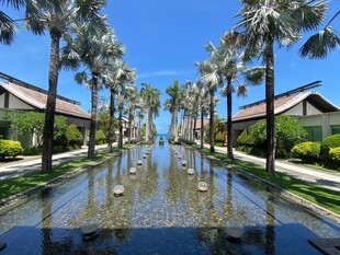 热带风情的水畔棕榈景观