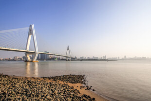 江边大桥风景