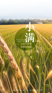 小满 二十四节气       