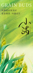 小满 二十四节气       