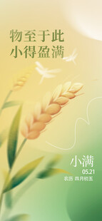 小满 二十四节气       