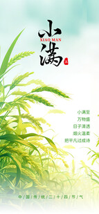 小满 二十四节气       