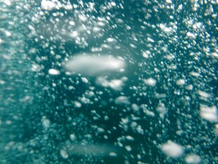 海水