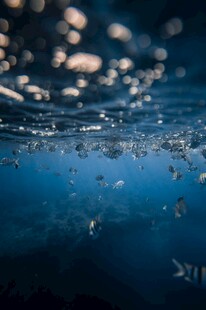 水下气泡的梦幻光影世界
