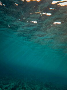 海底梦幻景象