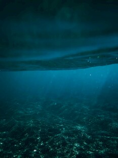 深海之下的神秘景象