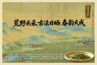 白茶 荒野头采