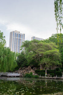 城市湖畔绿树环绕的景致