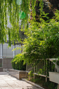 庭院绿植景观一角