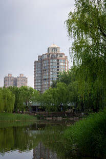 湖畔绿树环绕的城市建筑
