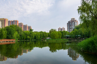 城市湖畔美景