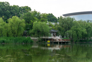 湖畔绿树环绕的宁静景致