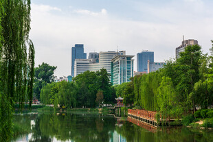 城市湖畔绿意盎然美景