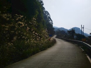 山间蜿蜒小路