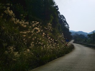山间蜿蜒小路