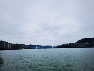 宁静湖畔风光