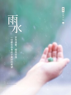 雨水海报