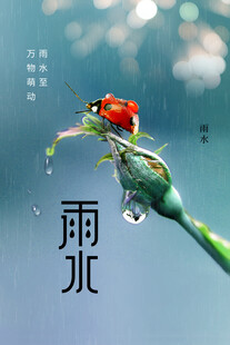 雨水海报