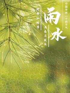 雨水海报