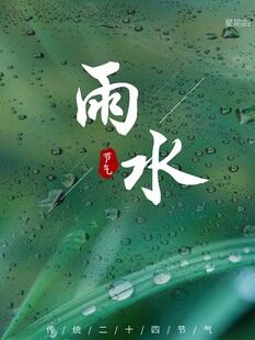 雨水海报