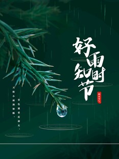 雨水海报