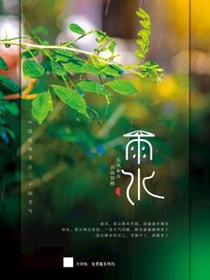 雨水海报