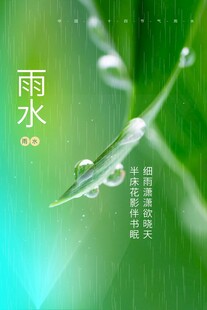 雨水海报