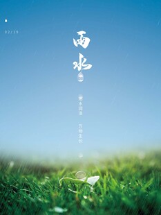 雨水海报